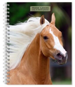 Horse Lovers | 2025 6 x 7.75 Inch Spiral-Bound Wire-O Weekly Engagement Planner Calendar | New Full-Color Image Every Week | BrownTrout | Animals Equestrian