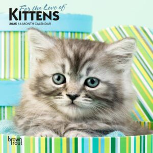 For the Love of Kittens | 2025 7 x 14 Inch Monthly Mini Wall Calendar | Plastic-Free | BrownTrout | Animals Cats Feline