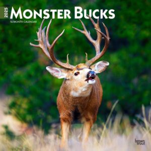 Monster Bucks | 2025 12 x 24 Inch Monthly Square Wall Calendar | Plastic-Free | BrownTrout | Wildlife Animals Hunting
