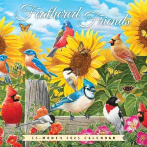 Feathered Friends | 2025 12 x 24 Inch Monthly Square Wall Calendar | Featuring the Artwork of William Vanderdasson | Plastic-Free | Hopper Studios | Wildlife Animals