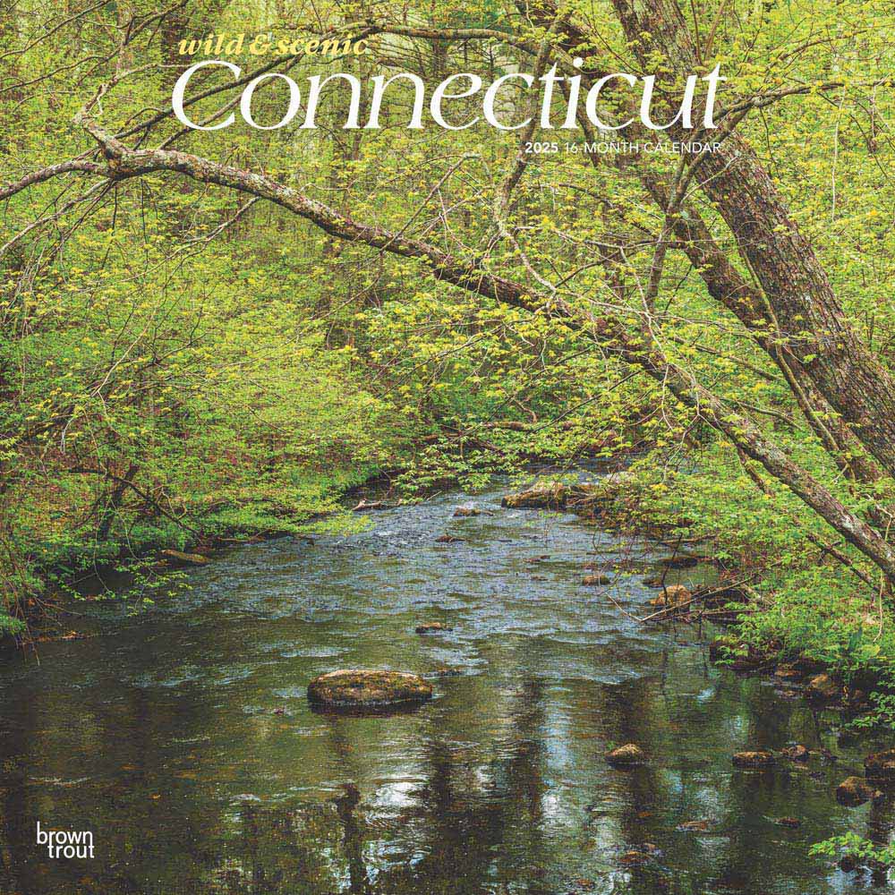 Connecticut Wild & Scenic | 2025 12 x 24 Inch Monthly Square Wall Calendar | Plastic-Free | BrownTrout | USA United States of America Northeast State Nature