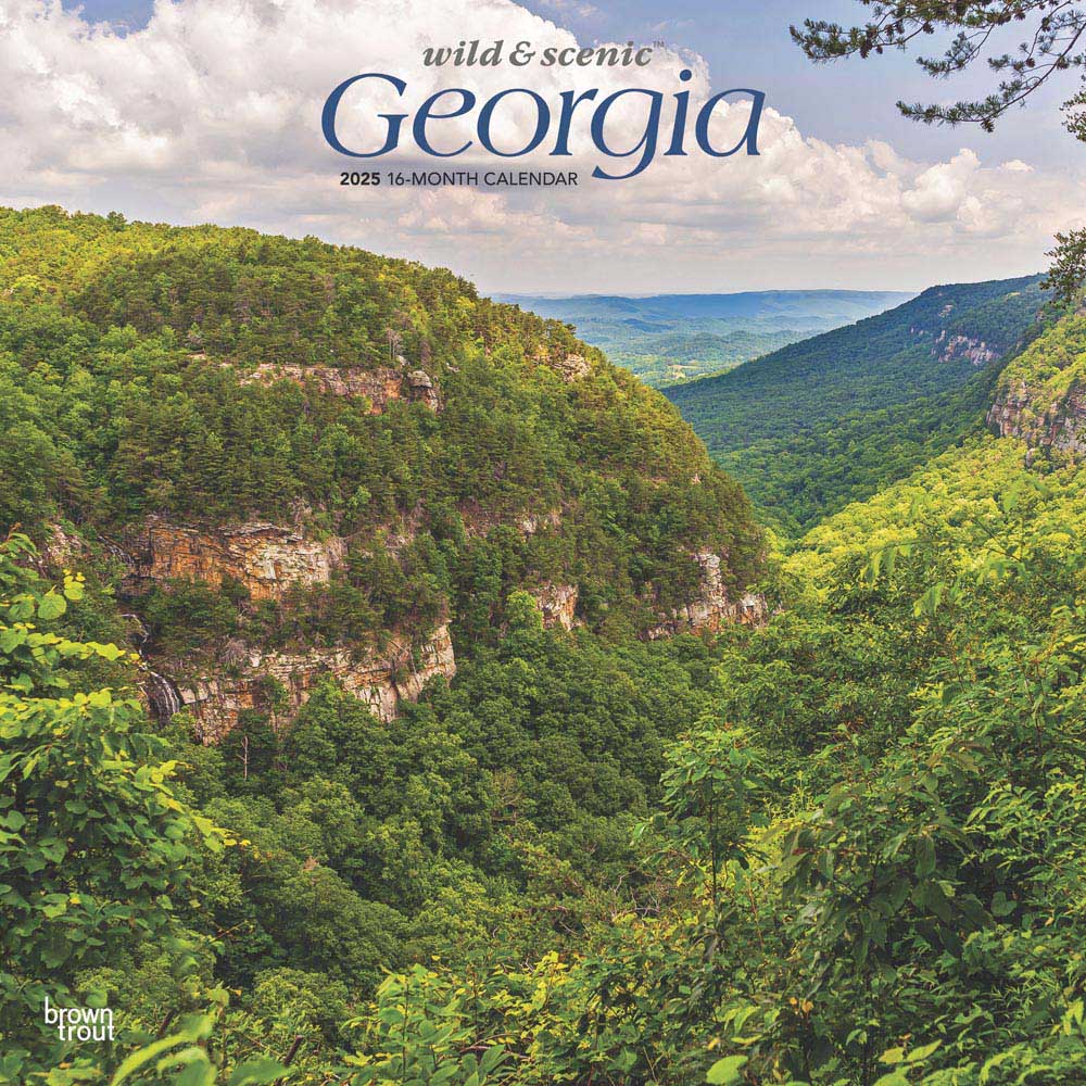 Georgia Wild & Scenic | 2025 12 x 24 Inch Monthly Square Wall Calendar | Plastic-Free | BrownTrout | USA Southeast State Nature Savannah Golf