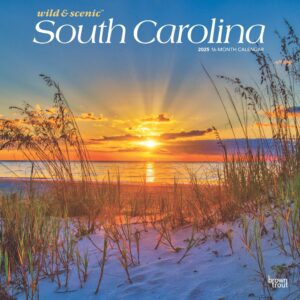 South Carolina Wild & Scenic | 2025 12 x 24 Inch Monthly Square Wall Calendar | Plastic-Free | BrownTrout | USA United States of America Southeast State Nature