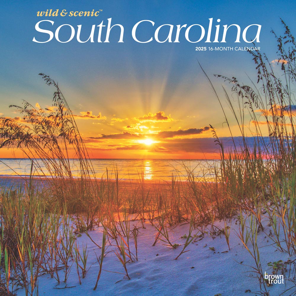 South Carolina Wild & Scenic | 2025 12 x 24 Inch Monthly Square Wall Calendar | Plastic-Free | BrownTrout | USA United States of America Southeast State Nature