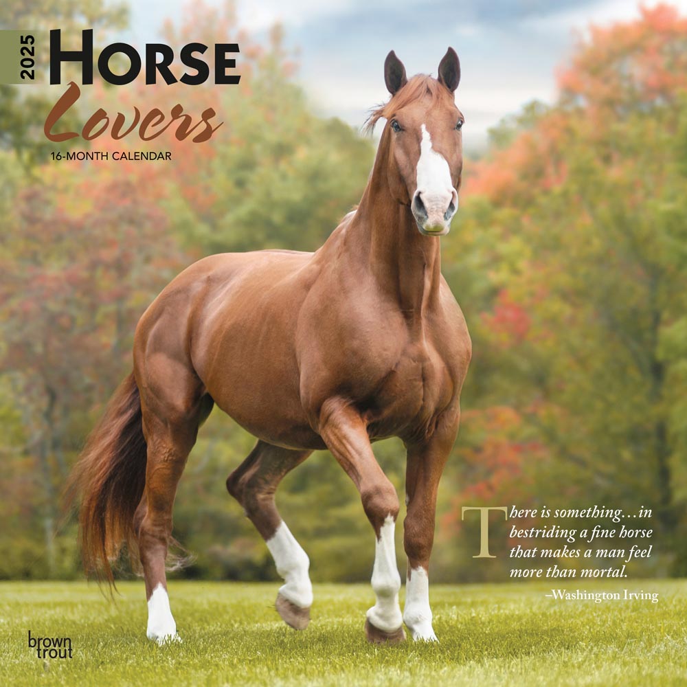 Horse Lovers | 2025 12 x 24 Inch Monthly Square Wall Calendar | Plastic-Free | BrownTrout | Animals Equestrian