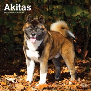 Akitas | 2025 12 x 24 Inch Monthly Square Wall Calendar | Plastic-Free | BrownTrout | Animal Dog Breeds