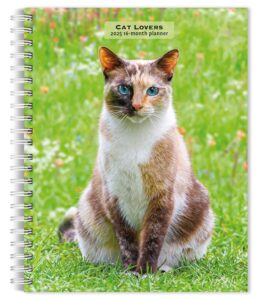 Cat Lovers | 2025 6 x 7.75 Inch Spiral-Bound Wire-O Weekly Engagement Planner Calendar | New Full-Color Image Every Week | BrownTrout | Animals Domestic Kittens Feline