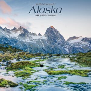 Alaska Wild & Scenic | 2025 12 x 24 Inch Monthly Square Wall Calendar | Plastic-Free | BrownTrout | USA United States of America Noncontiguous State Nature