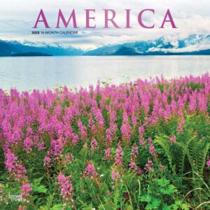 America | 2025 12 x 24 Inch Monthly Square Wall Calendar | Foil Stamped Cover | Plastic-Free | BrownTrout | USA United States Scenic Nature