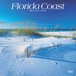 Florida Coast | 2025 12 x 24 Inch Monthly Square Wall Calendar | Plastic-Free | BrownTrout | USA United States of America Southeast State Nature