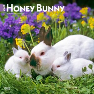 Honey Bunny | 2025 12 x 24 Inch Monthly Square Wall Calendar | Plastic-Free | BrownTrout | Domestic Small Cute Animals