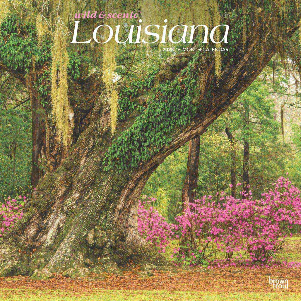Louisiana Wild & Scenic | 2025 12 x 24 Inch Monthly Square Wall Calendar | Plastic-Free | BrownTrout | USA United States of America Southeast State Nature