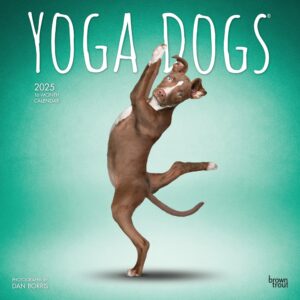 Yoga Dogs OFFICIAL | 2025 12 x 24 Inch Monthly Square Wall Calendar | Plastic-Free | BrownTrout | Animals Humor Pets