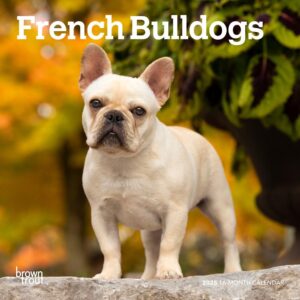 French Bulldogs | 2025 7 x 14 Inch Monthly Mini Wall Calendar | Plastic-Free | BrownTrout | Animals Dog Breeds
