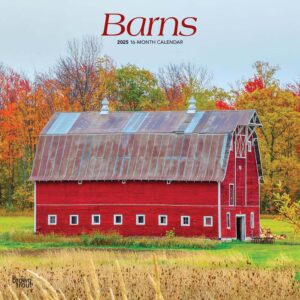 Barns | 2025 12 x 24 Inch Monthly Square Wall Calendar | Plastic-Free | BrownTrout | USA United States of America Scenic Rural Farm