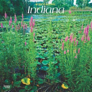 Indiana Wild & Scenic | 2025 12 x 24 Inch Monthly Square Wall Calendar | Plastic-Free | BrownTrout | USA United States of America Midwest State Nature