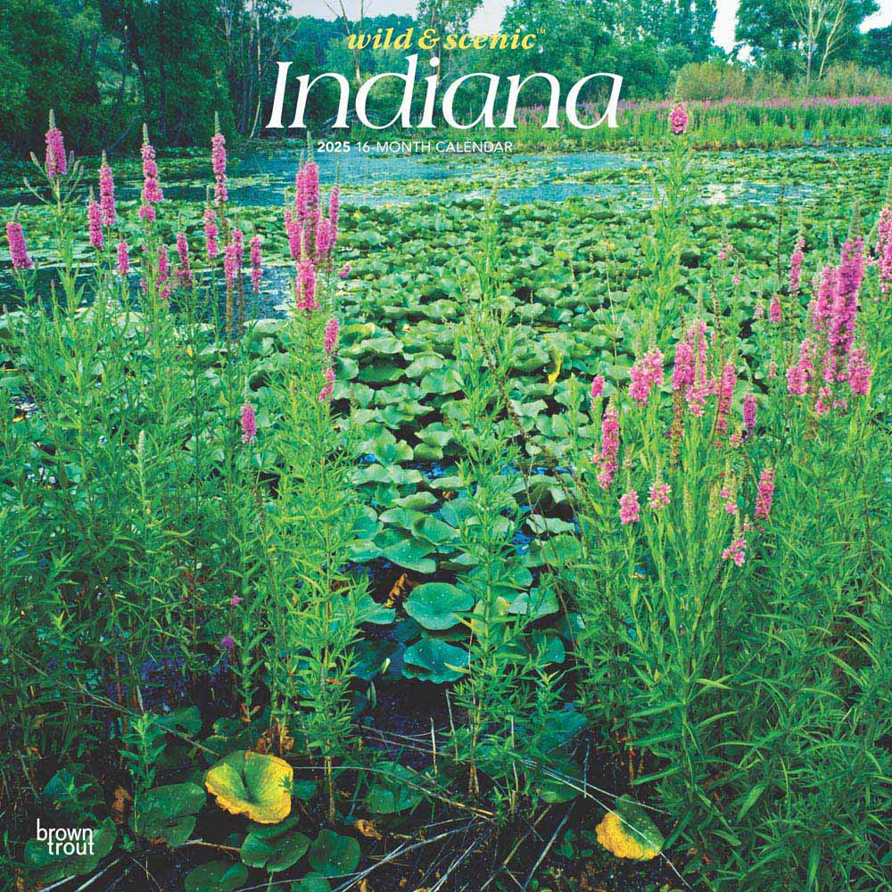 Indiana Wild & Scenic | 2025 12 x 24 Inch Monthly Square Wall Calendar | Plastic-Free | BrownTrout | USA United States of America Midwest State Nature