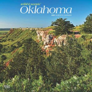 Oklahoma Wild & Scenic | 2025 12 x 24 Inch Monthly Square Wall Calendar | Plastic-Free | BrownTrout | USA United States of America Southwest State Nature