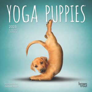 Yoga Puppies OFFICIAL | 2025 7 x 14 Inch Monthly Mini Wall Calendar | Plastic-Free | BrownTrout | Animals Humor Puppy Dogs Canine