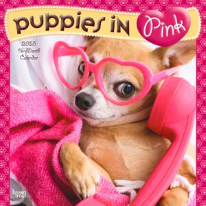 Puppies in Pink | 2025 12 x 24 Inch Monthly Square Wall Calendar | Plastic-Free | BrownTrout | Animals Fun Humor Pets