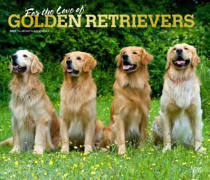 For the Love of Golden Retrievers | 2025 14 x 24 Inch Monthly Deluxe Wall Calendar | Foil Stamped Cover | Plastic-Free | BrownTrout | Animal Dog Breeds