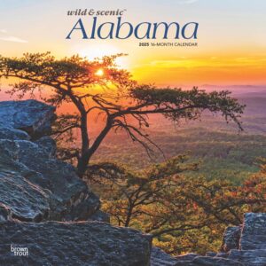 Alabama Wild & Scenic | 2025 12 x 24 Inch Monthly Square Wall Calendar | Plastic-Free | BrownTrout | USA United States of America Southeast State Nature