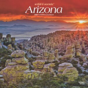 Arizona Wild & Scenic | 2025 12 x 24 Inch Monthly Square Wall Calendar | Plastic-Free | BrownTrout | USA United States of America Southwest State Nature