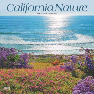 California Nature | 2025 12 x 24 Inch Monthly Square Wall Calendar | Plastic-Free | BrownTrout | USA United States of America Pacific West State