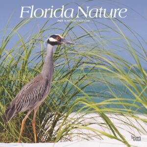 Florida Nature | 2025 12 x 24 Inch Monthly Square Wall Calendar | Plastic-Free | BrownTrout | USA United States of America Southeast State