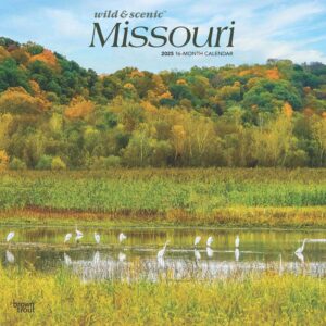 Missouri Wild & Scenic | 2025 12 x 24 Inch Monthly Square Wall Calendar | Plastic-Free | BrownTrout | USA United States of America Midwest State Nature