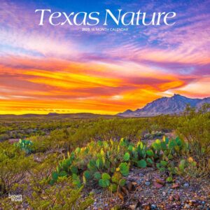 Texas Nature | 2025 12 x 24 Inch Monthly Square Wall Calendar | Plastic-Free | BrownTrout | USA United States of America Southwest State Wilderness