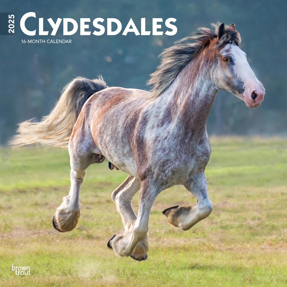 Clydesdales | 2025 12 x 24 Inch Monthly Square Wall Calendar | Plastic-Free | BrownTrout | Animals Horses