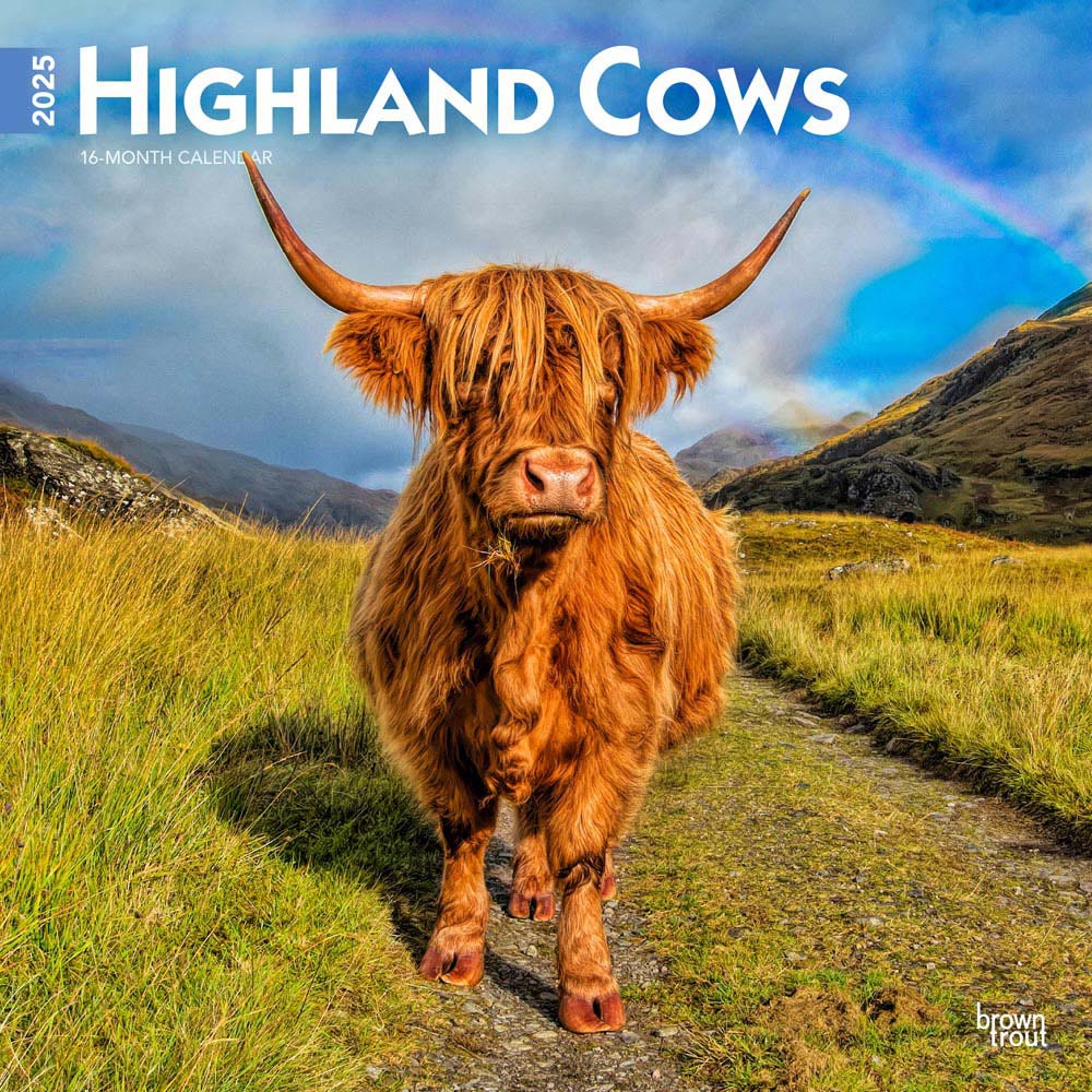 Highland Cows | 2025 12 x 24 Inch Monthly Square Wall Calendar | Plastic-Free | BrownTrout | Domestic Farm Animals