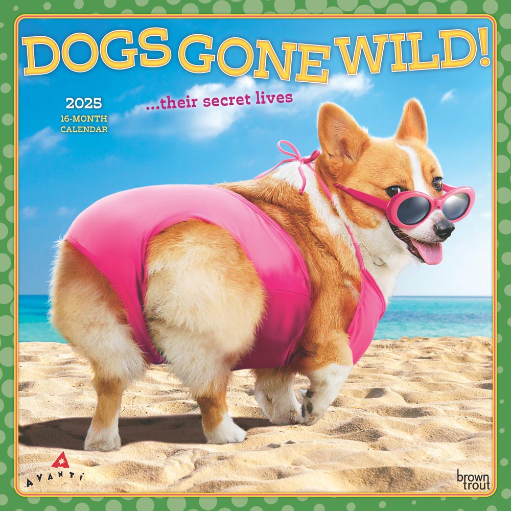 Avanti Dogs Gone Wild OFFICIAL | 2025 12 x 24 Inch Monthly Square Wall Calendar | Plastic-Free | BrownTrout | Canine Pet Humor