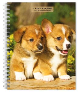 I Love Puppies | 2025 6 x 7.75 Inch Spiral-Bound Wire-O Weekly Engagement Planner Calendar | New Full-Color Image Every Week | BrownTrout | Animals Dog Breeds Puppy