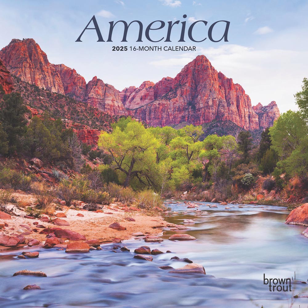 America | 2025 7 x 14 Inch Monthly Mini Wall Calendar | BrownTrout | USA United States