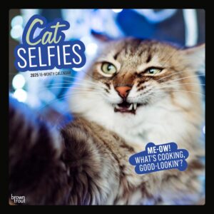 Cat Selfies | 2025 12 x 24 Inch Monthly Square Wall Calendar | Plastic-Free | BrownTrout | Pet Humor Kitten Feline