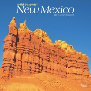 New Mexico Wild & Scenic | 2025 12 x 24 Inch Monthly Square Wall Calendar | Plastic-Free | BrownTrout | USA United States of America Southwest State Nature