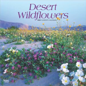 Desert Wildflowers | 2025 12 x 24 Inch Monthly Square Wall Calendar | Plastic-Free | BrownTrout | Floral Outdoor Plant Nature