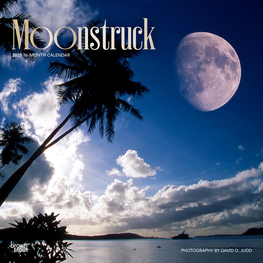 Moonstruck | 2025 12 x 24 Inch Monthly Square Wall Calendar | Foil Stamped Cover | Plastic-Free | BrownTrout | Lunar Stars Sky