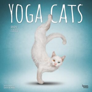 Yoga Cats OFFICIAL | 2025 12 x 24 Inch Monthly Square Wall Calendar | Plastic-Free | BrownTrout | Animals Humor Pets