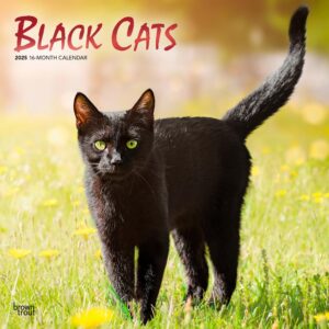 Black Cats | 2025 12 x 24 Inch Monthly Square Wall Calendar | Foil Stamped Cover | Plastic-Free | BrownTrout | Animals Kittens Feline