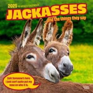 Jackasses | 2025 12 x 24 Inch Monthly Square Wall Calendar | Plastic-Free | BrownTrout | Donkey Humor