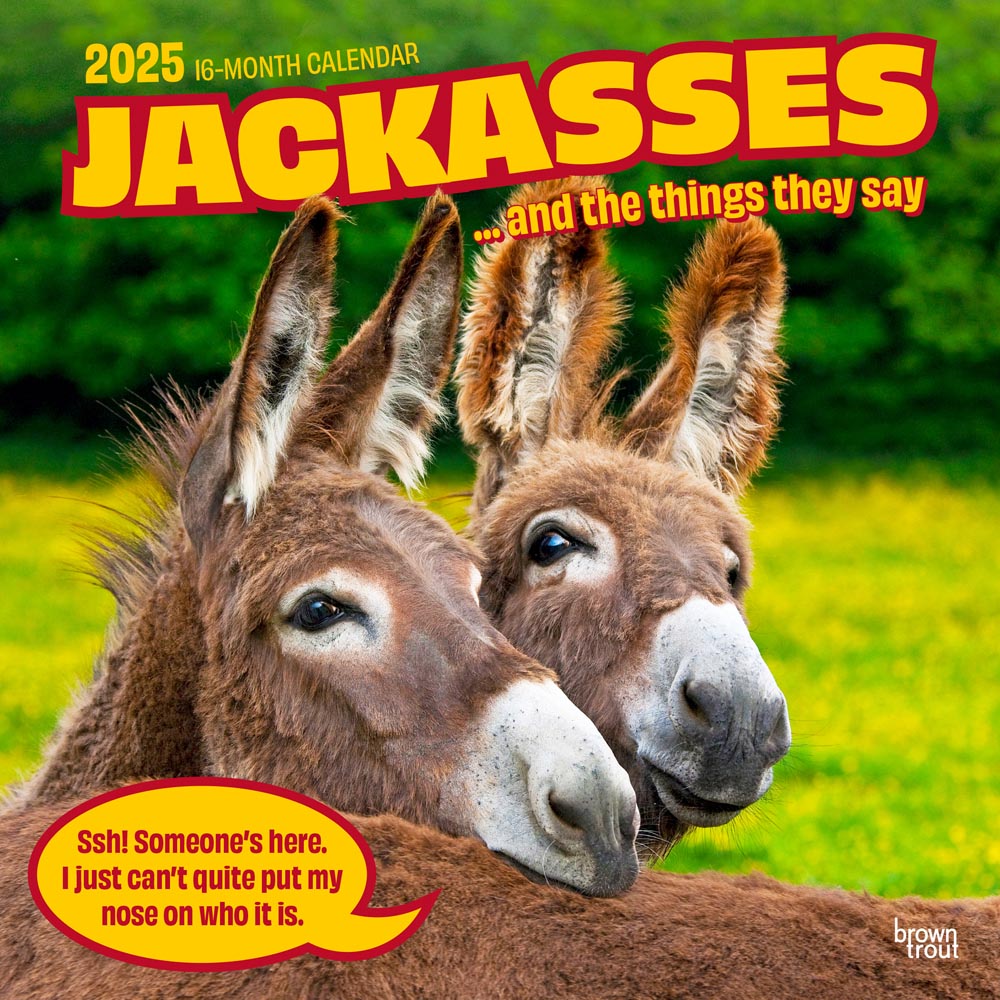 Jackasses | 2025 12 x 24 Inch Monthly Square Wall Calendar | Plastic-Free | BrownTrout | Donkey Humor