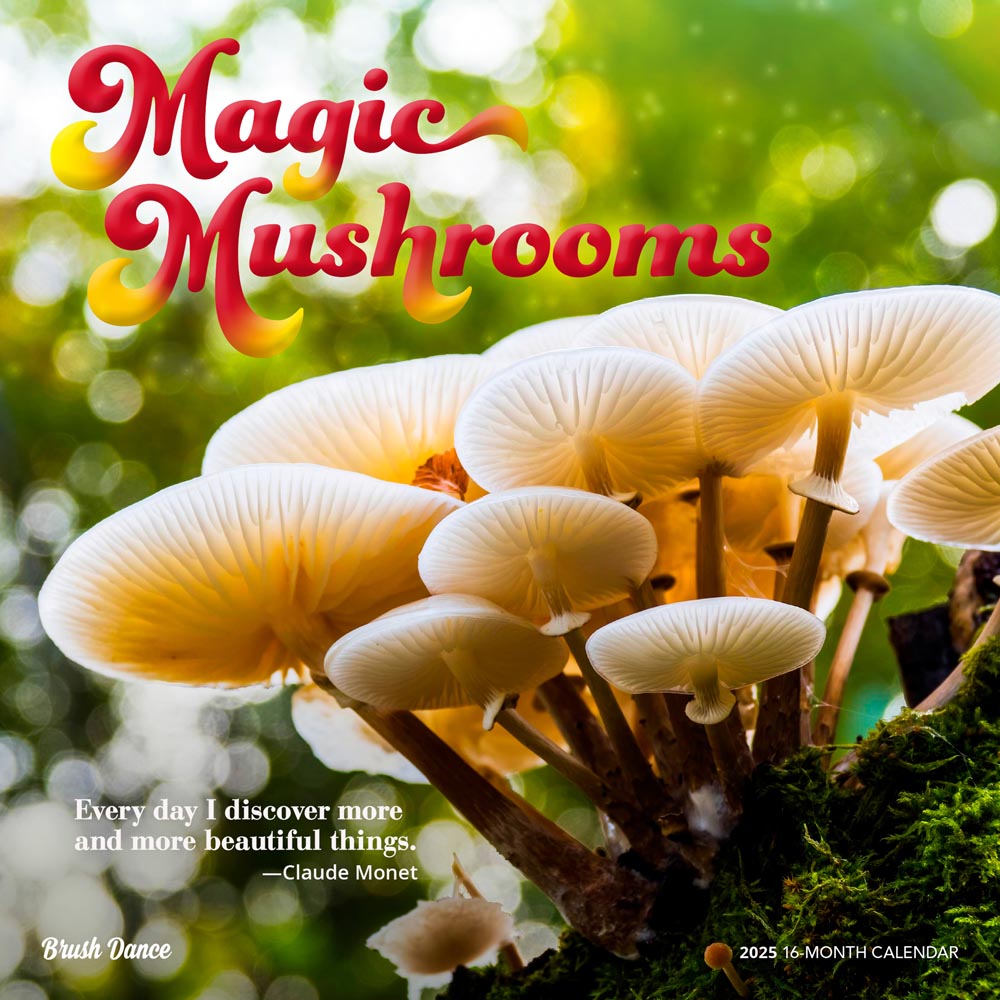 Magic Mushrooms 2025 Square Wall Calendar PlasticFree Brush