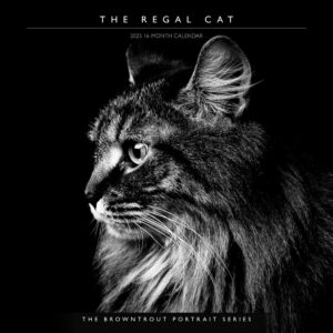 The BrownTrout Portrait Series: The Regal Cat | 2025 12 x 24 Inch Monthly Square Wall Calendar | Pet Kitten Feline