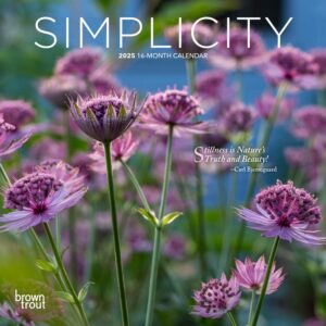 Simplicity | 2025 7 x 14 Inch Monthly Mini Wall Calendar | BrownTrout | Colorful Photography Inspiration Quotes