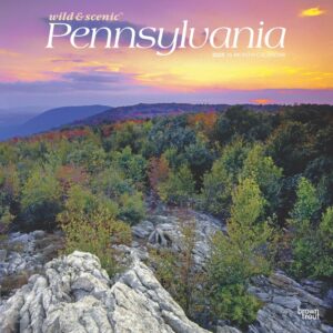 Pennsylvania Wild & Scenic | 2025 12 x 24 Inch Monthly Square Wall Calendar | Plastic-Free | BrownTrout | USA United States of America Northeast State Nature