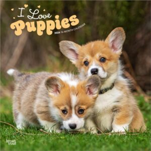 I Love Puppies | 2026 12 x 24 Inch (Hanging) Monthly Square Wall Calendar | Plastic-Free | BrownTrout | Animals Dog Breeds