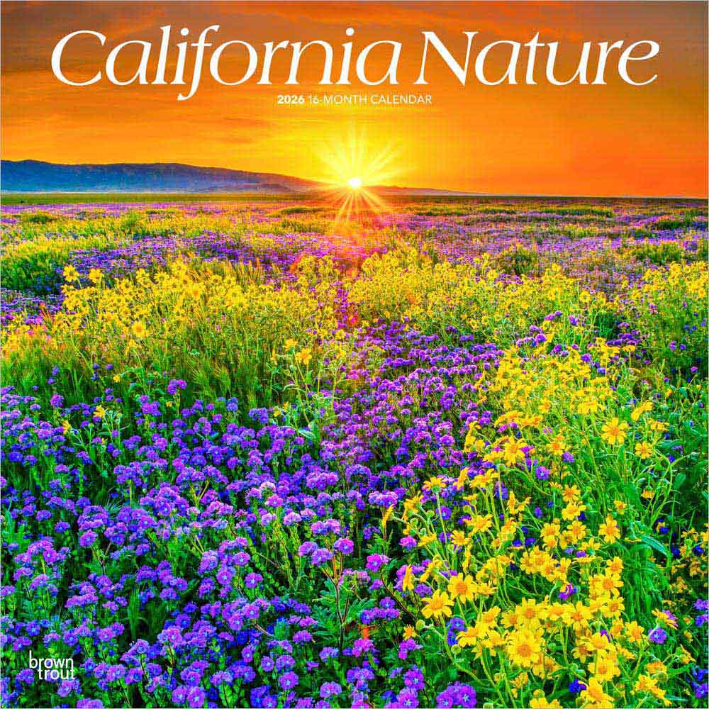 California Nature | 2026 12 x 24 Inch (Hanging) Monthly Square Wall Calendar | Plastic-Free | BrownTrout | USA United States of America Pacific West State